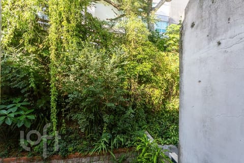 Image 17 - 229453